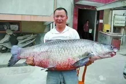 青魚(yú)視頻國(guó)產(chǎn)在線(xiàn),國(guó)產(chǎn)在線(xiàn)影視盛宴，盡享視聽(tīng)盛宴