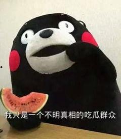 回復吃瓜表情的技巧,掌握表情技巧，輕松成為社交達人